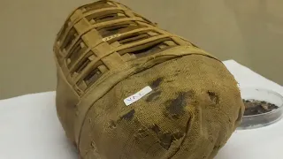 تخيل الفراعنة مكنش عندهم فراخ!!!!