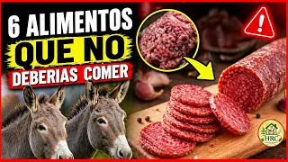 6 Alimentos que No volverás a Comer Luego de Ver Esto | PARTE 1