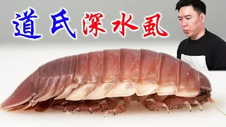 试吃道氏深水虱，破开肚子的那一刻房子都不想要了，出锅后香死啦【小文哥吃吃吃】