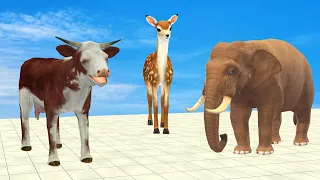 Don't Choose The Wrong Key With Elephant Cow Lion Gorilla Escape Room Challenge Animals Cage Game
