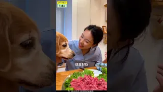 🐕 टोबो के ब्यूटीफुल Episode || Tobo Emotional, Funny Videos || Tobo Dog JJ Fact Story #funny