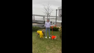 КАК Я ОКАЗАЛАСЬ У HOOOTDOGS?🤯 И ГДЕ МЯТА?!😱