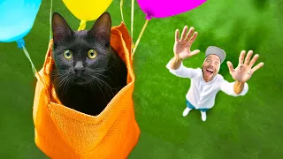 How many balloons does it take to make a cat fly?? 🤩