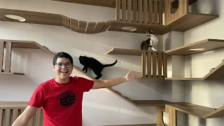 TROUXEMOS TODOS OS NOSSOS GATINHOS PARA A CASA NOVA!! - Família Velhote