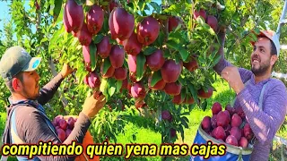 Los Piscadores Más rápidos de Esta Compañía Los Muestro en este video