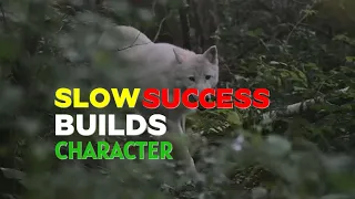 Slow success builds character #foryou #motivation #lonewolf #trending #viralvideos #success #mindset
