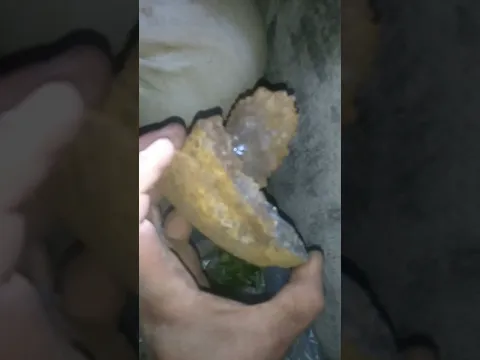 برايكم ماهذا الحجر ! هل هو الماس ام زجاج؟