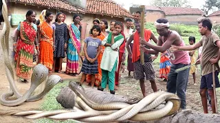 सावन में नाग नागिन के जोड़े कर रहे थे मिलन, तभी इस सख्स ने कर दी एक गलती 😨 आगे देखें क्या हुआ Snakes