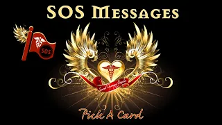 🆘SOS Special Messages | Timeless | Pick A Card