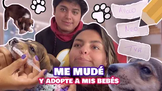 MIS CACHORROS ESCOGEN SUS NOMBRES - yaneireach
