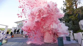 WORLDS LARGEST Liquid Nitrogen Mega Reaction