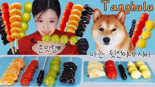탕후루 같이 먹었어요 (지유개표 댕후루 & 왕가 탕후루)