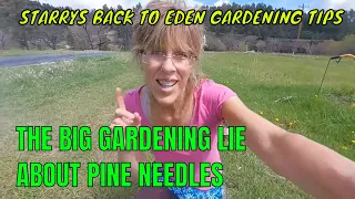 THE BIG GARDENING MYTH..PINE NEEDLES