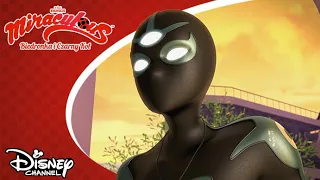 🐞 As Prawdy | Miraculous: Biedronka i Czarny Kot | Disney Channel Polska