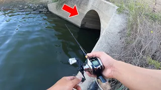 I Dropped a Lure Into This MYSTERIOUS Tunnel...