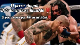 El perro Angulo Debuta en Bare Knuckle❗️Vence por KO🥊