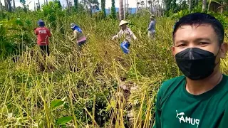 SUBSCRIBE tembus 617 Ribu dalam 1 video, tanpa seting setingan, murni dan alami hanya 4 bulan