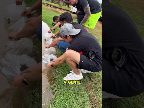 Você conseguiu ver o pirarucu?? 😱 Se conseguiu, comenta!