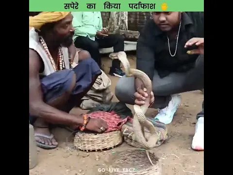 सांप का पर्दाफाश 😱 | Murliwale Hausla |     #shorts