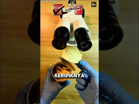 Ada Serangga di Dalam Keripik kentang?! 😱