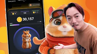 មកស្វែងយល់ពី Hamster Kombat?