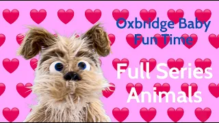 Oxbridge Baby Fun Time - Full Series - All Animals