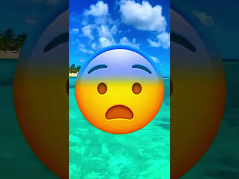 ASI ES LA BOCA DE UN PULPO 🐙 POR DENTRO 😨 #youtubeshorts #shorts #youtube