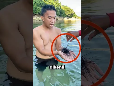Bu DİKENLİ YARATIĞA Sakın DOKUNMA❗️😨