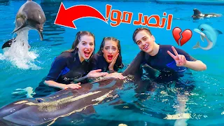 فاجئت لانا ولين برحلة الى مدينة الدلافين🐬😱مقلبتهم وماتو من الخوف😂نور مار