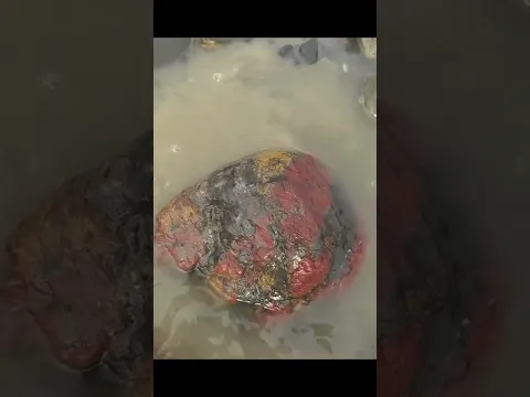 I found a giant 40lbs red and yellow jasper in the river #short #rockhound