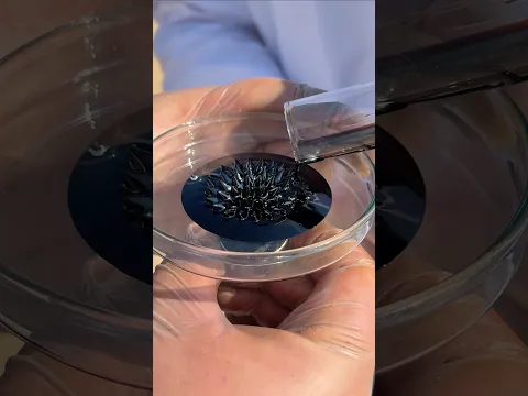 Turning Beach Sand into Magnetic Liquid