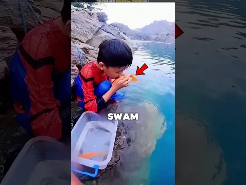 The Fish Kept Coming Back to the Boy 🥺❤️