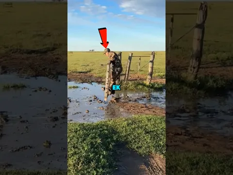 This is why you respect a soldier #shorts