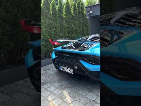 Lamborghini Dosenwerfen! 😂