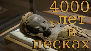 5 УНИКАЛЬНЫХ НАХОДОК В ПУСТЫНЕ!!!
