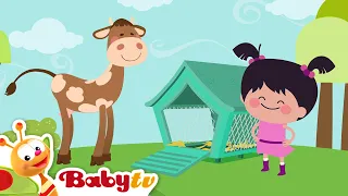 Pequeña Lola Visita la Granja | Vaca 🐄  | Animales de granja | Vídeos para niños @BabyTVSP