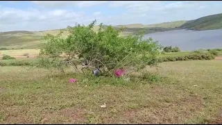 خرجة من حضن طبيعة واد مالح