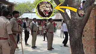 चीता के आनुवंशिक गुणों वाले इस जीव के गांव में आने से मचा हड़कंप | आनन-फानन में बुलाना पड़ा पुलिस!