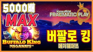[프라그마틱 슬롯] 버팔로 킹 메가웨이즈 | 정품 슬롯 리플레이 + 고배당 하이라이트 🎰