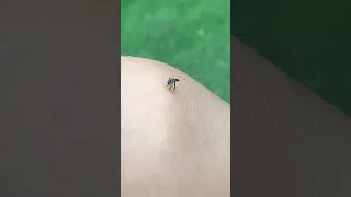 Bỗng dưng bắt được thú cưng #funny