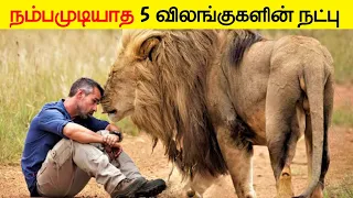 நம்ப முடியாத 5 விலங்குகளின் நட்பு | 5 Unbelivable Animal Friendship_Facts in minutes