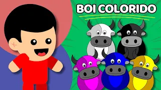 BOI COLORIDO - Animadinhos (Música Infantil)