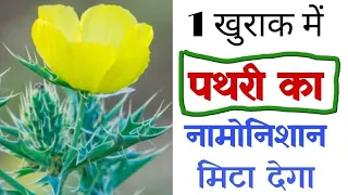 अगर यह वीडियो देख लिए तो कभी पथरी की बीमारी नहीं होगी // 1 खुराक में पथरी होगा जड़ से खत्म