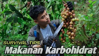 Survival Tips Terdampar & Berburu Makanan Liar.!