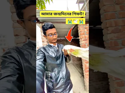 হুয়াইটি কি আর ফিরে আসবে না? 🕊️😭 #kabutar #কবুতর #birds #funny #comedy #viralvideo #shorts #trend