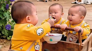 Three SuBeo Brothers Harvest Sweet Potatoes & End Up with Funny Black Faces! 😂🍠🔥