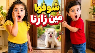 القطة الجوعانة اجت لعنا | ايلا حزنت عليها وشوفو شو طعمتها
