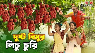 দুষ্ট বিমুর লিচু চুরি || Dusto Bimur Lichu Churi|| || একটি কমেডি শর্টফিল্ম "অনুধাবন"-২৭৬