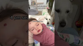 A day in the life of our Dog and Baby!