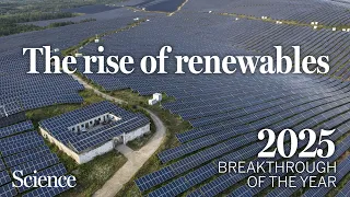 How cheap renewable energy is finally flattening emissions